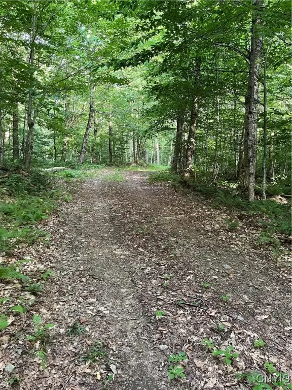 E Of Town Line Road, Lorraine, NY 13659