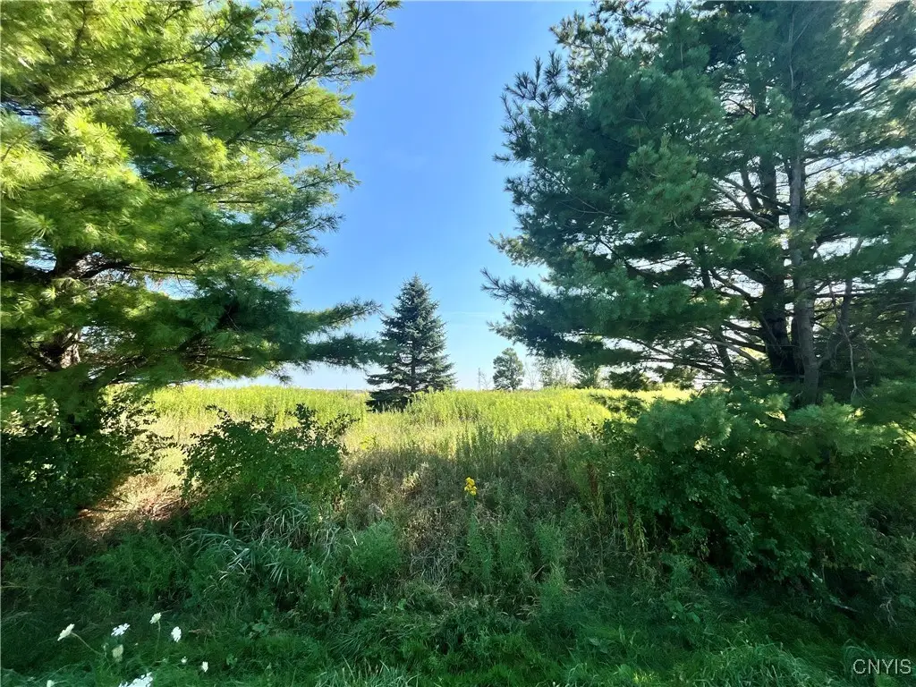 24458 Dano Road, Theresa, NY 13691 - Image #1