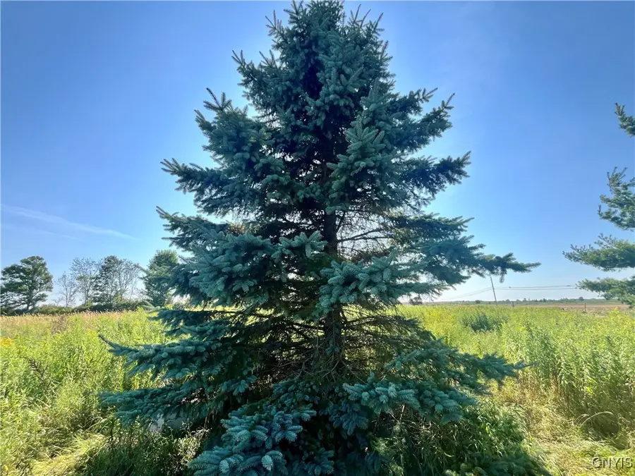 24458 Dano Road, Theresa, NY 13691 - Image #2