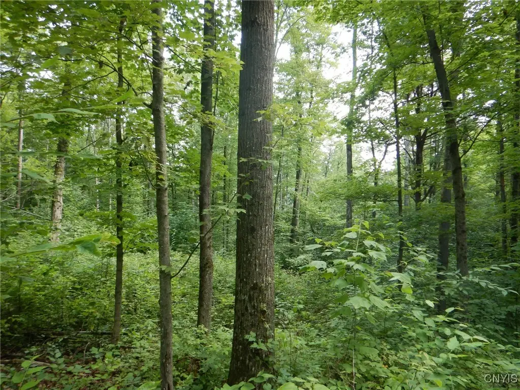 0 Starks Road, Newfield, NY 14867 - Image #1