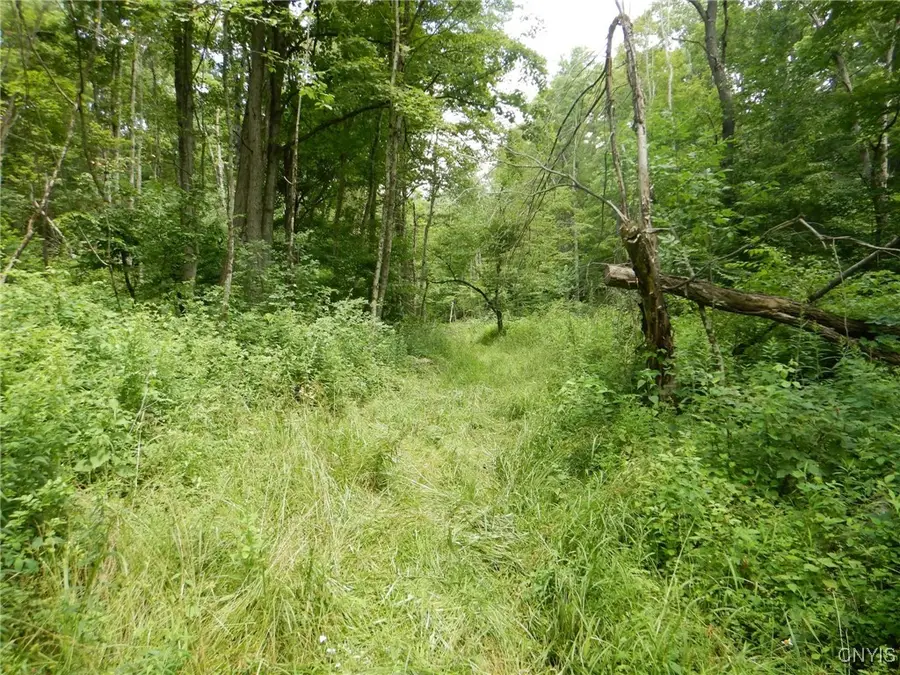 Chaffee Creek Road, Newfield, NY 14867 - Image #2