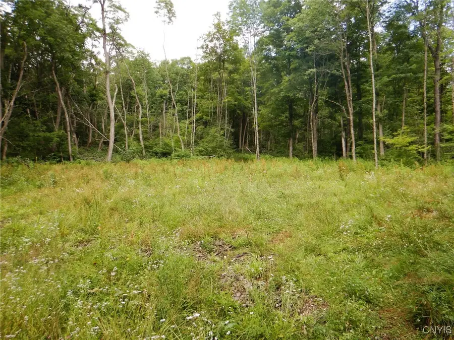Chaffee Creek Road, Newfield, NY 14867 - Image #3