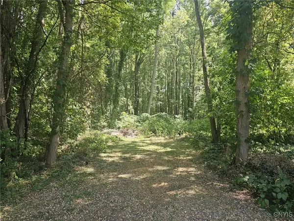 Willowcrest Drive, Elbridge, NY 13060