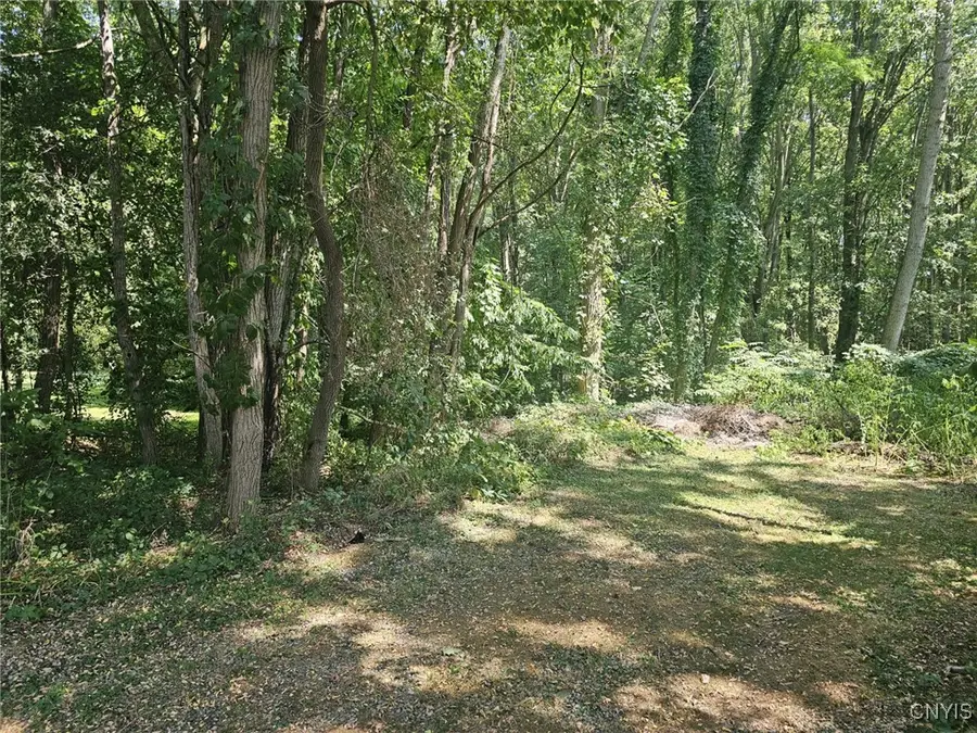 Willowcrest Drive, Elbridge, NY 13060 - Image #3