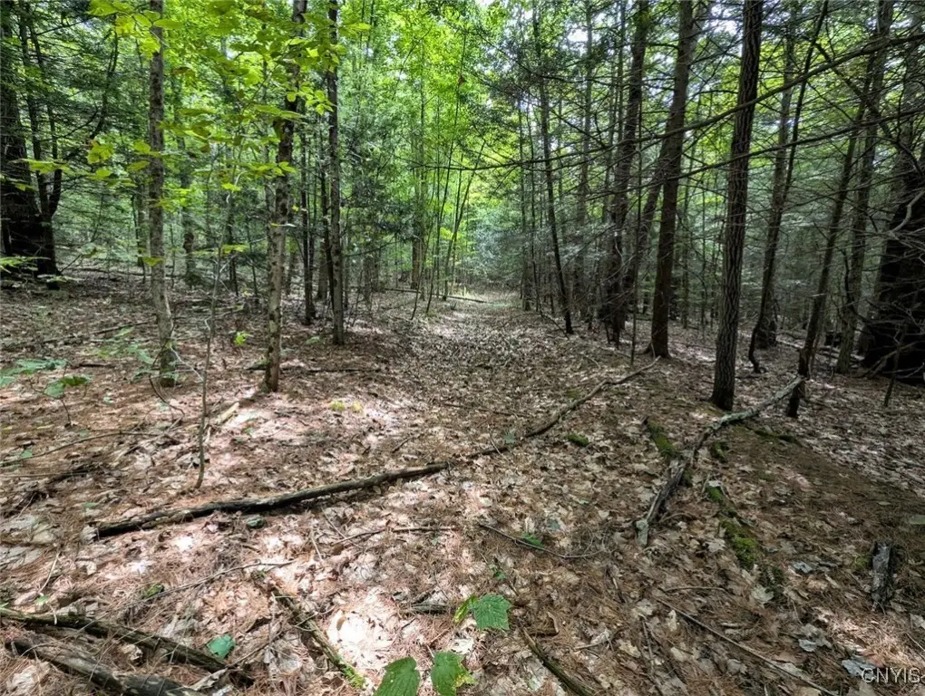 Buck Hollow Road, Beaver Dams, NY 14812 - Image #1