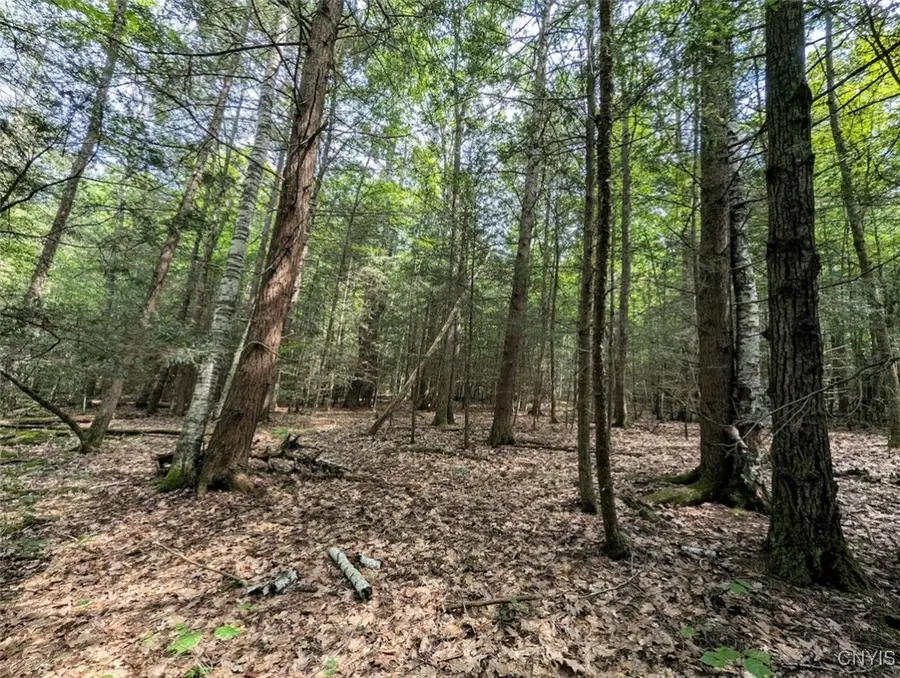 Buck Hollow Road, Beaver Dams, NY 14812 - Image #2