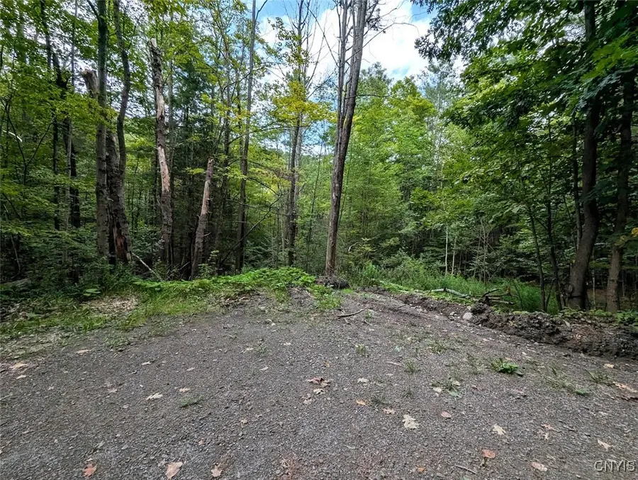 Buck Hollow Road, Beaver Dams, NY 14812 - Image #3