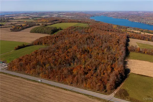 0 E Lake Road, Skaneateles, NY 13152