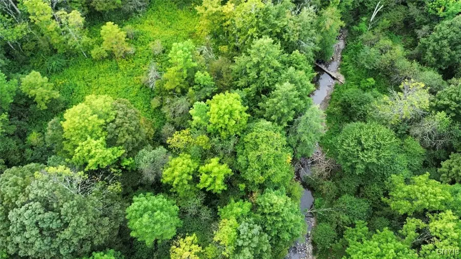 3616 Cheningo Solon Pond Road, Cincinnatus, NY 13040 - Image #2