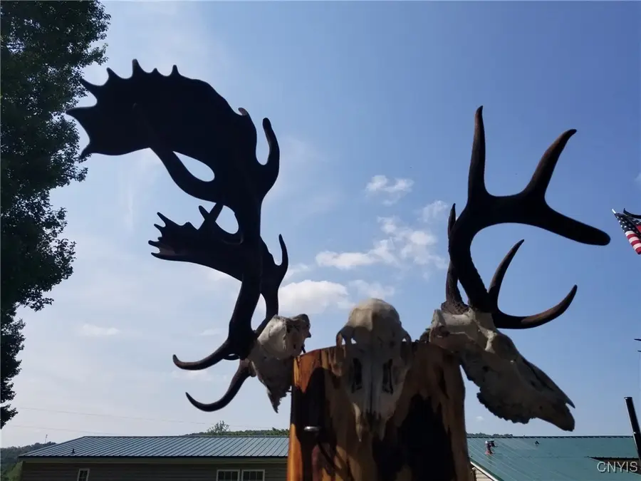 213 Button Road, West Edmeston, NY 13485 - Image #3