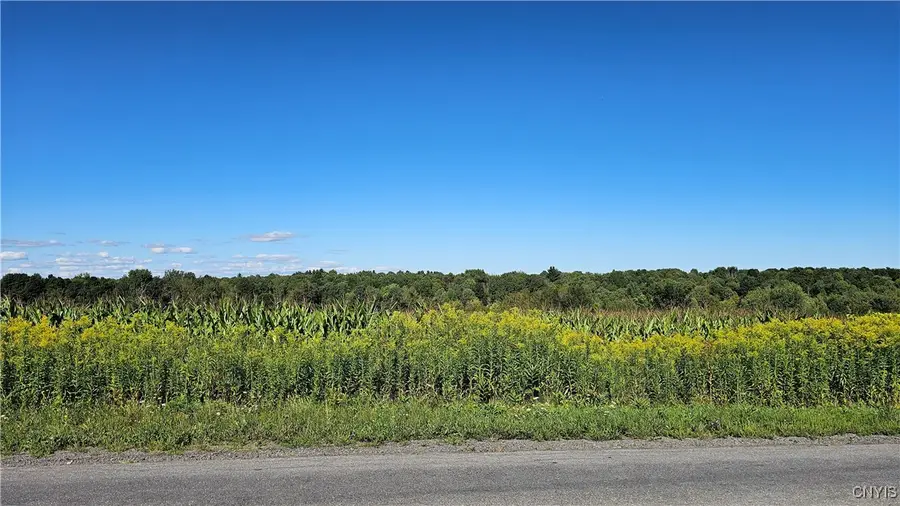 10730 Old State Road, Carthage, NY 13619 - Image #2