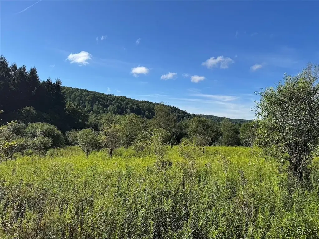 E Valley Road, Andover, NY 14806 - Image #1