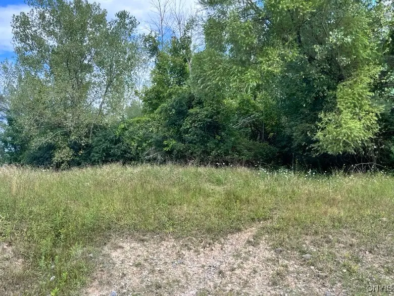 3310 Ted Park Drive, Warners, NY 13164 - Image #2