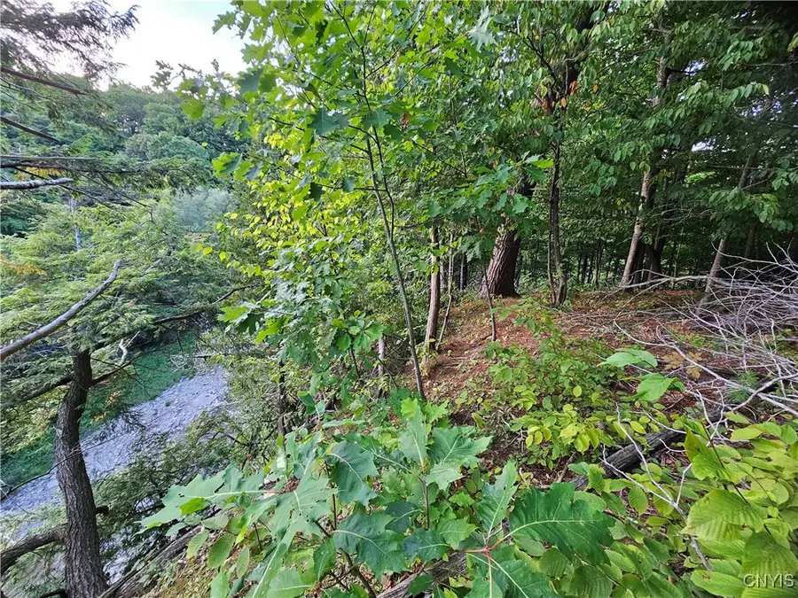 Old State Rd, Carthage, NY 13619 - Image #3