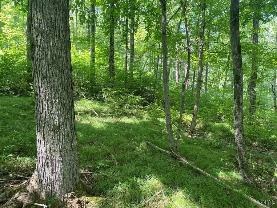 State Route 244, Belmont, NY 14813 - Image #3