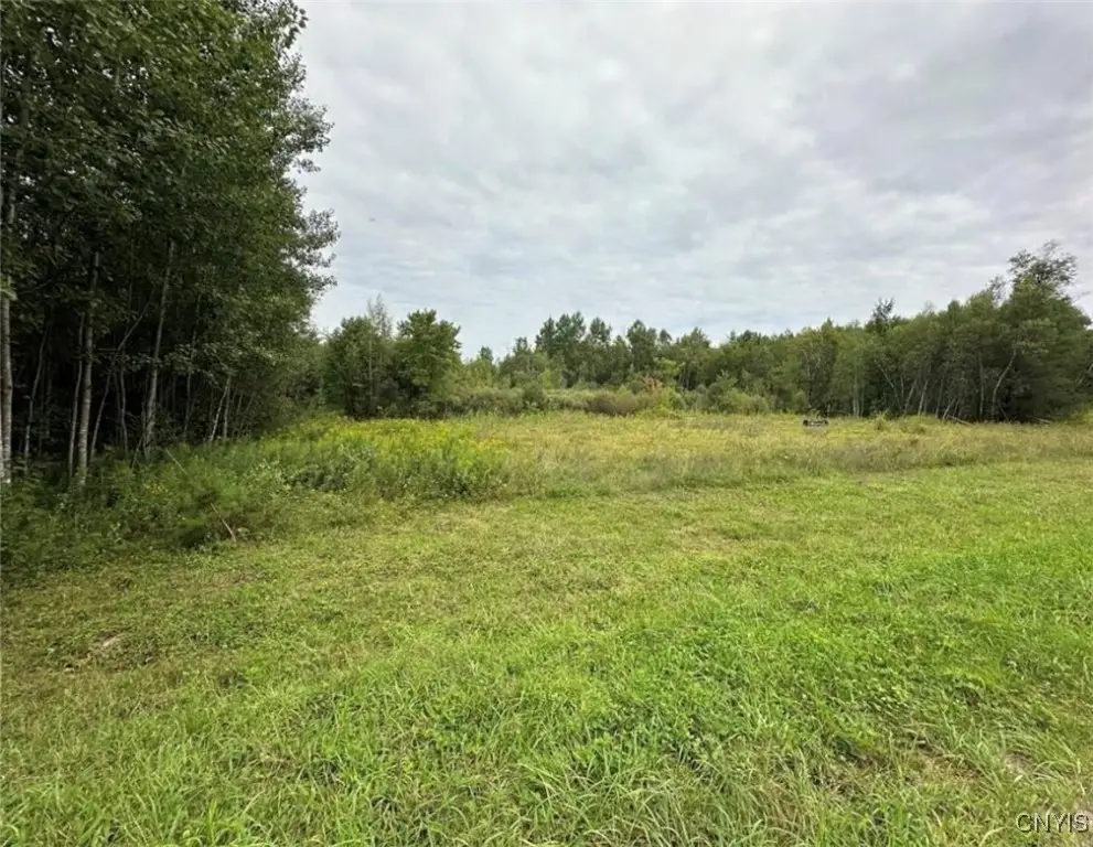 0 Texas Road, Carthage, NY 13619 - Image #1