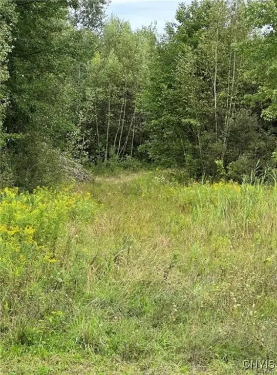 0 Texas Road, Carthage, NY 13619 - Image #2