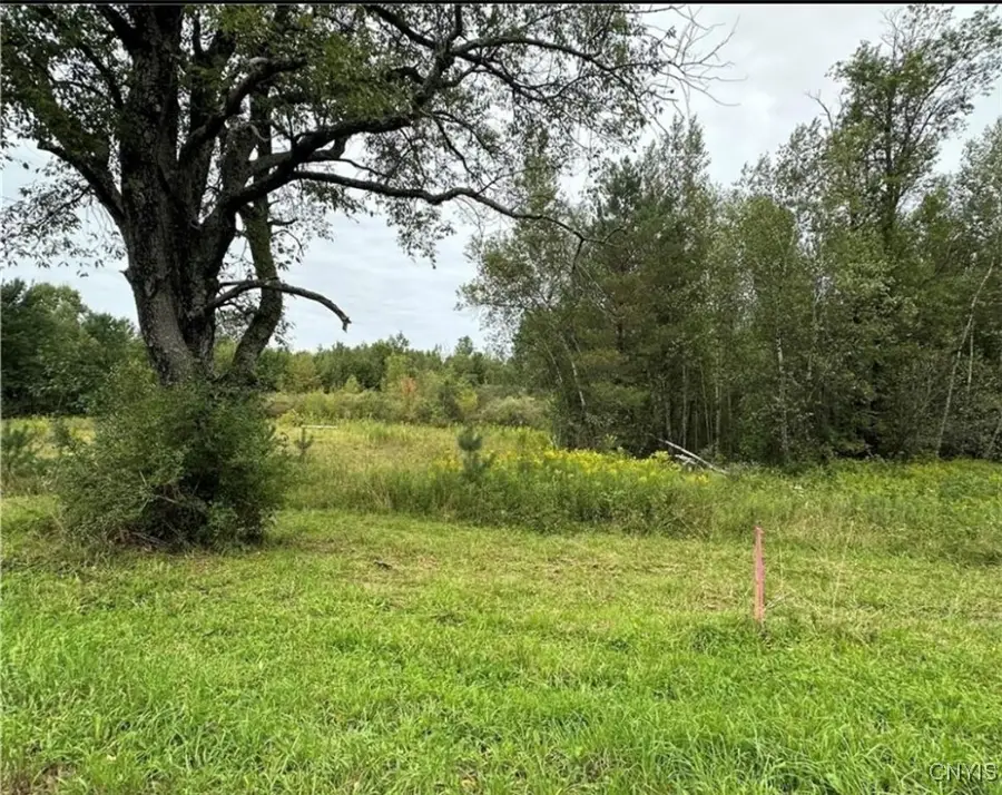 0 Texas Road, Carthage, NY 13619 - Image #3