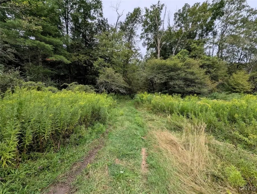 State Route 417, Woodhull, NY 14898 - Image #2