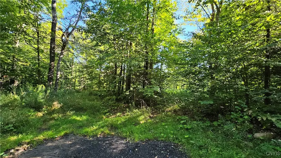 00 Rowsam Road, Martinsburg, NY 13404 - Image #3