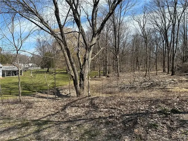 0 Steuben Place, Oneida, NY 13421