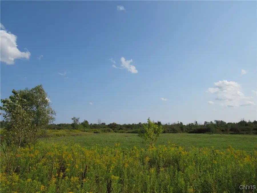 Lamphear Road, Rome, NY 13440 - Image #3