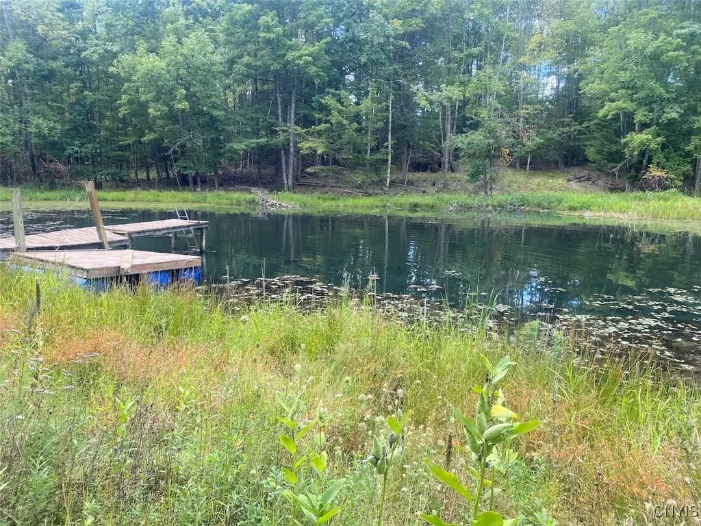 Oramel Hill Road, Caneadea, NY 14717 - Image #1