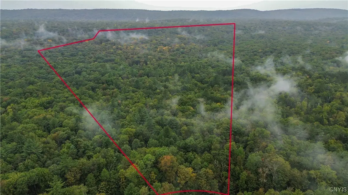 347 Shaad Road, Salisbury Center, NY 13454 - Image #1