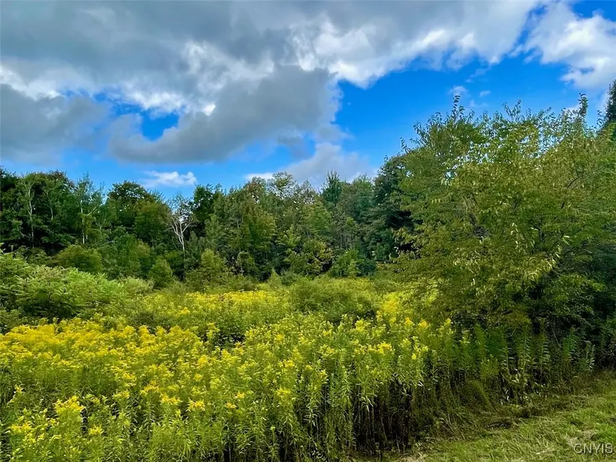 Maiden Lane Road, Oswego, NY 13126 - Image #2