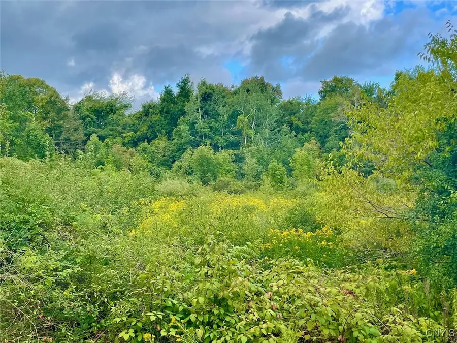 Maiden Lane Road, Oswego, NY 13126 - Image #3