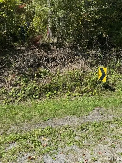 Clark Hollow Road, La Fayette, NY 13084 - Image #3