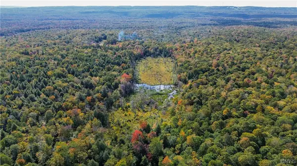 999 Jerseyfield Road, Little Falls, NY 13365