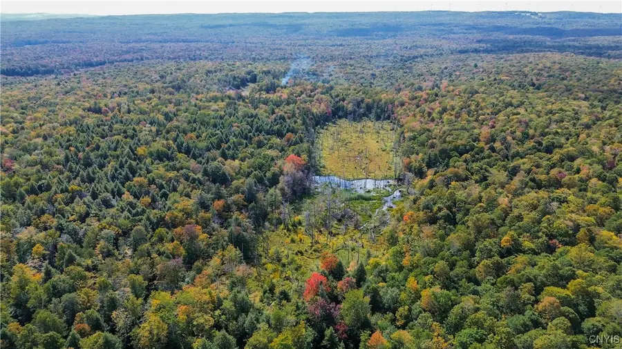 999 Jerseyfield Road, Little Falls, NY 13365 - Image #2