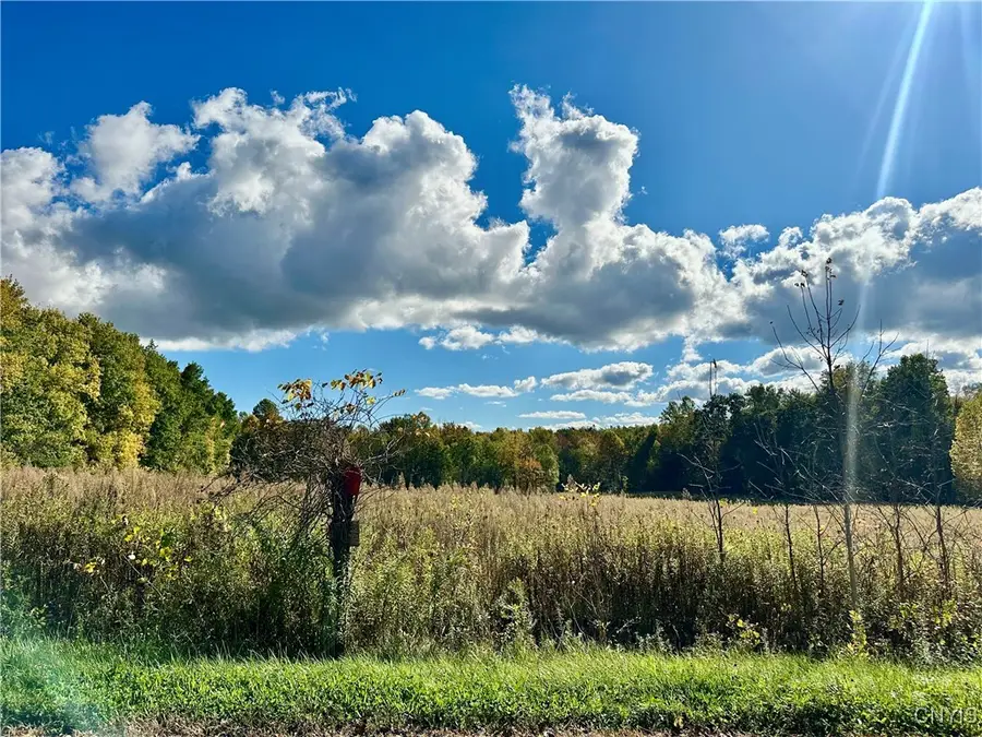 Harris Hill Road, Hannibal, NY 13074 - Image #2