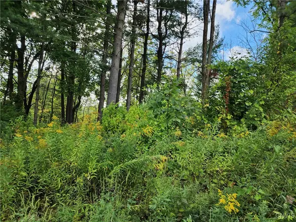 33269 Broadwell Road, Theresa, NY 13691