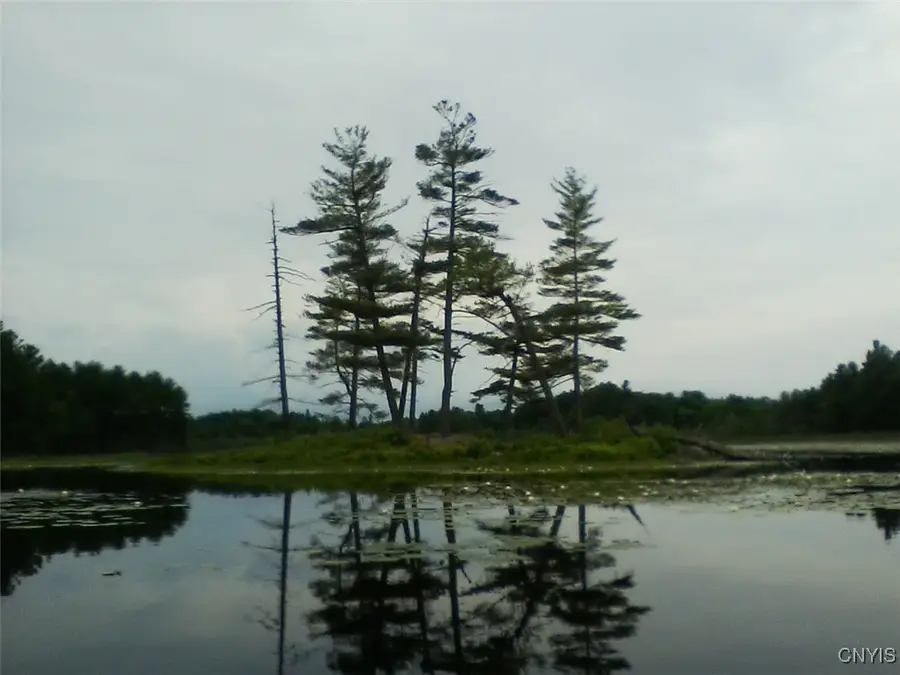 Island In Grass, Theresa, NY 13691 - Image #2