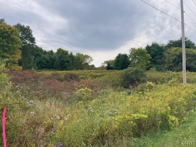 0 Link Road, Rome, NY 13440 - Image #2