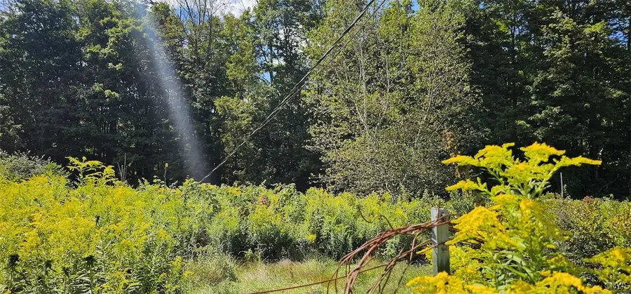 210 Creamery Road, Richford, NY 13835 - Image #2