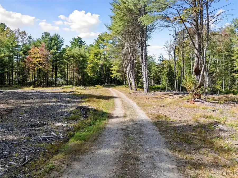 Dutchtown Road, Dolgeville, NY 13329 - Image #2