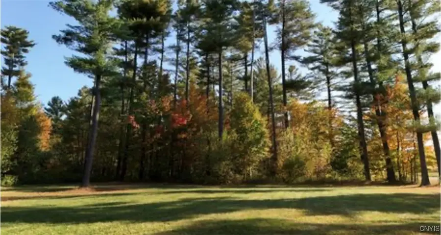 State Highway 3, Fine, NY 13639 - Image #2