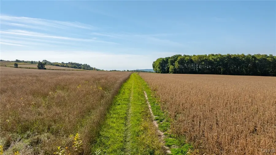 L11 Hall Road, Moravia, NY 13118 - Image #3