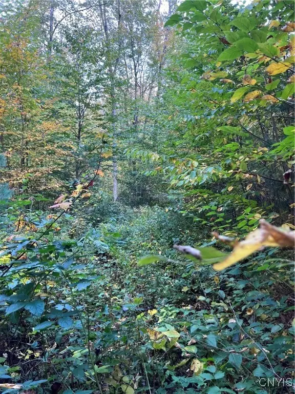 Smartville, Boylston, NY 13083 - Image #2