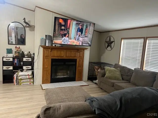 24 Hillview Road, Spencer, NY 14883 - Image #2