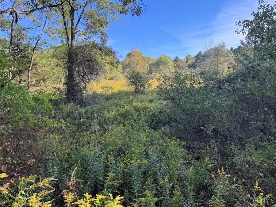 Hawks Road, Andover, NY 14806 - Image #3