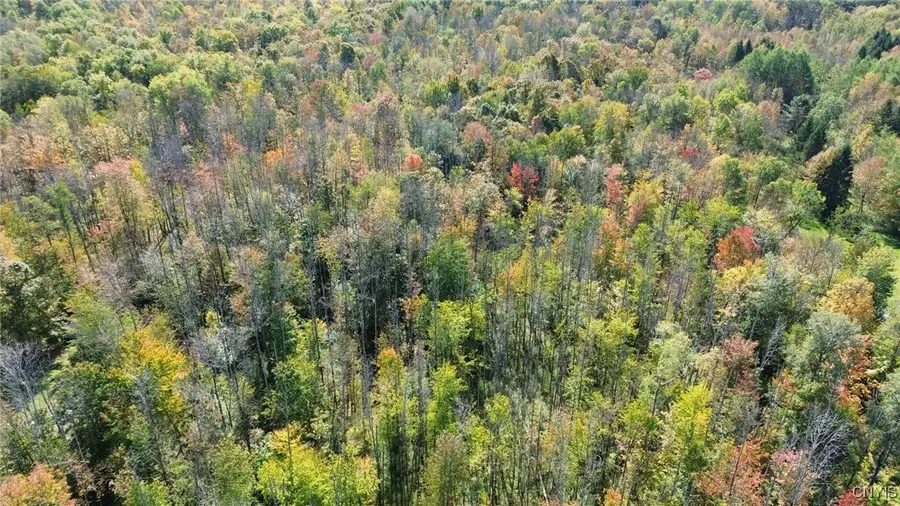 Bankert Road, Ava, NY 13303 - Image #2