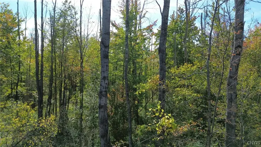 Bankert Road, Ava, NY 13303 - Image #3