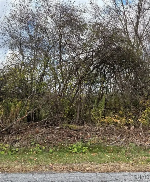 Hinds Rd - Lot #3 - Blue, Watertown, NY 13601