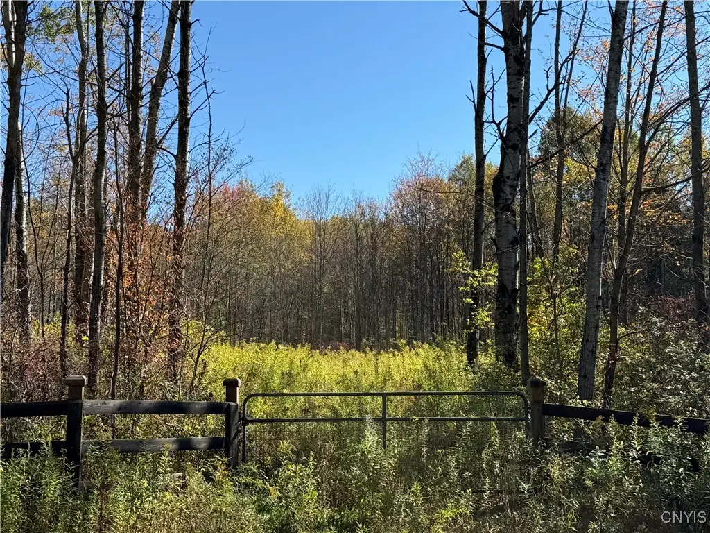 Shoemaker Road, Van Etten, NY 14889 - Image #1