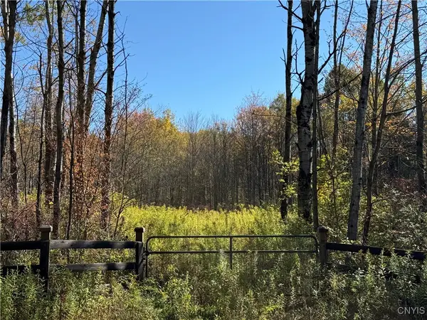 Shoemaker Road, Van Etten, NY 14889
