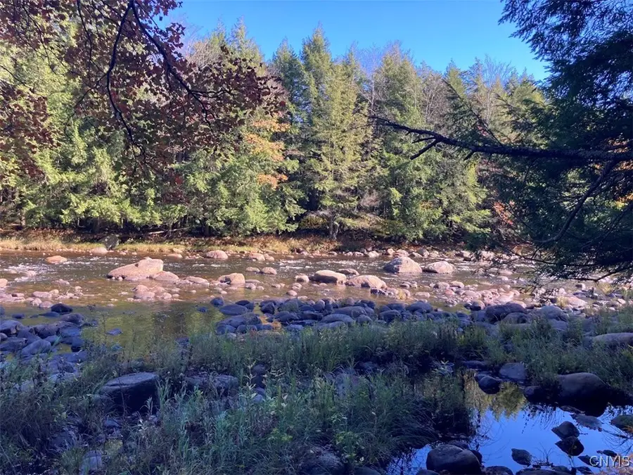 Emmonsburg Road, Salisbury Center, NY 13454 - Image #2